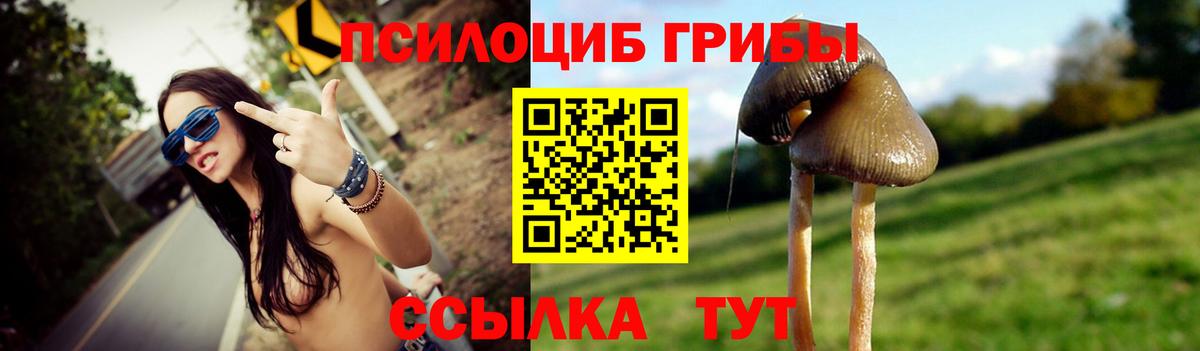Псилоцибиновые грибы MAGIC MUSHROOMS Малоярославец